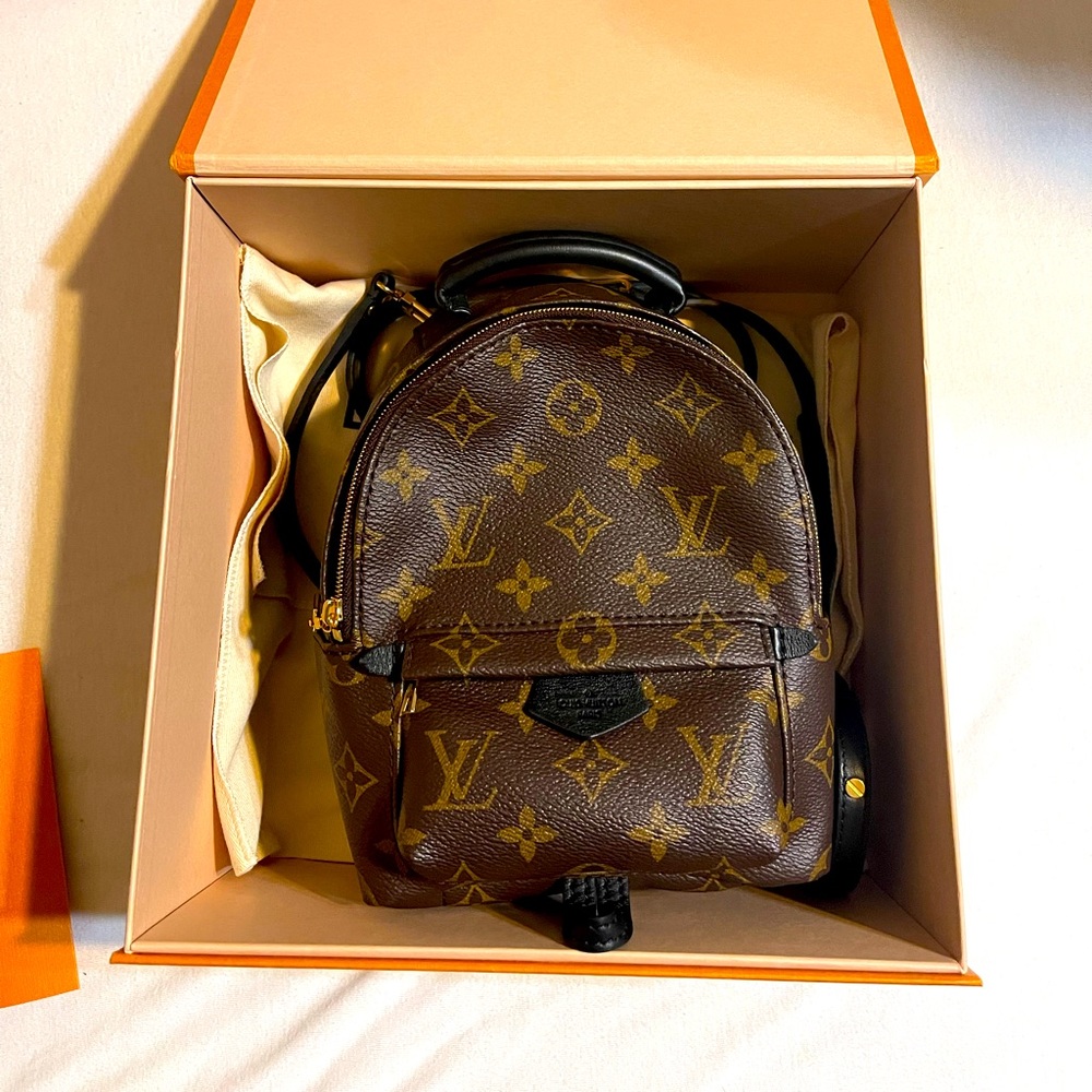 Louis Vuitton Palm Springs mini